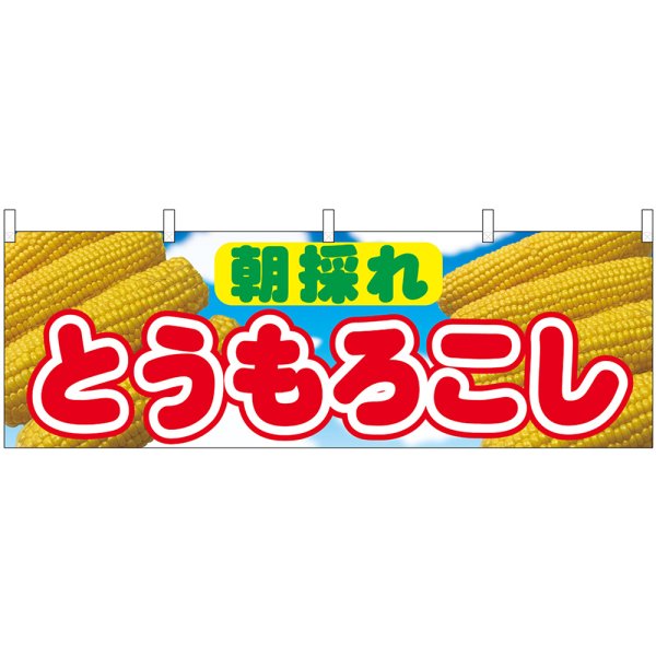 画像1: 横幕　54893　とうもろこし　朝採れ　 (1)