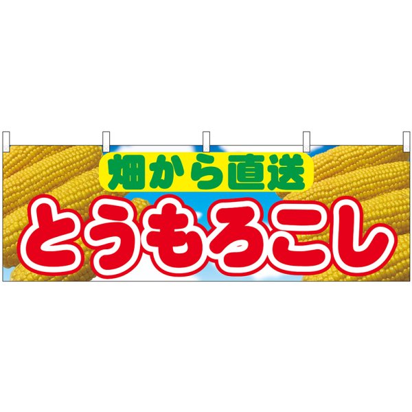 画像1: 横幕　54894　とうもろこし　畑から直送　 (1)