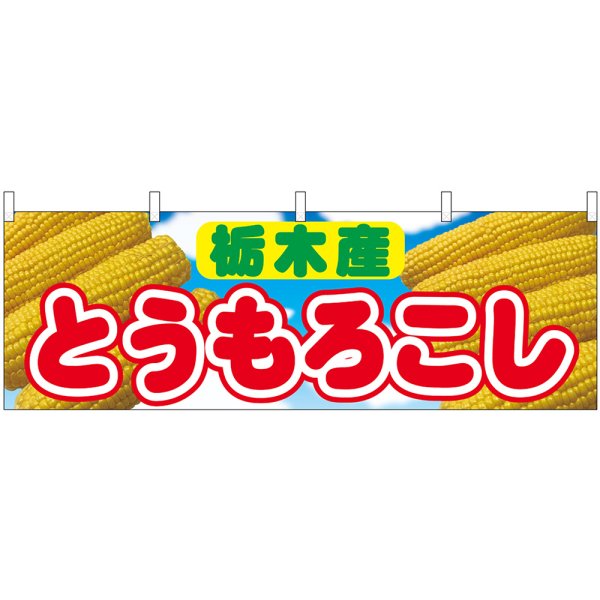 画像1: 横幕　54897　とうもろこし　栃木産　 (1)