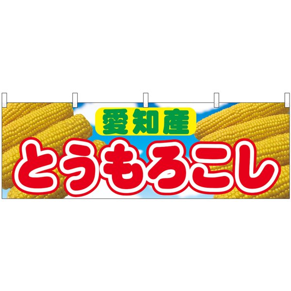 画像1: 横幕　54904　とうもろこし　愛知産　 (1)