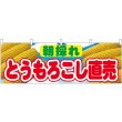 画像1: 横幕　54906　とうもろこし直売　朝採れ　 (1)