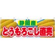 画像1: 横幕　54916　とうもろこし直売　静岡産　 (1)